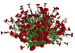 Цветы в PNG